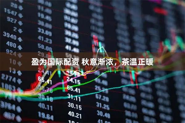 盈为国际配资 秋意渐浓，茶温正暖