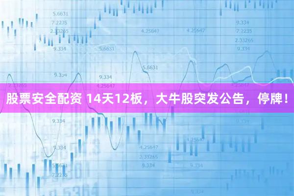 股票安全配资 14天12板，大牛股突发公告，停牌！