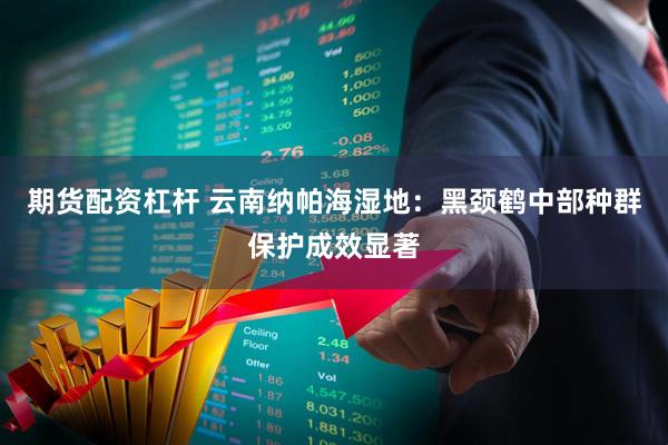 期货配资杠杆 云南纳帕海湿地：黑颈鹤中部种群保护成效显著