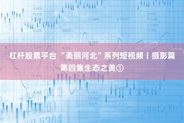 杠杆股票平台 “美丽河北”系列短视频丨摄影篇第四集生态之美①